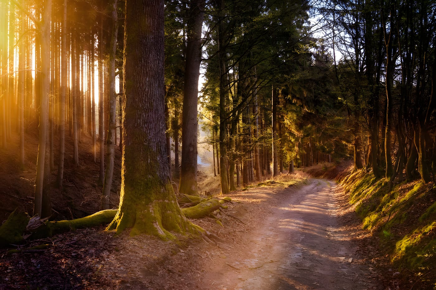 Wandern in der Kulmbacher Umgebung — Fränkische Schweiz